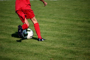 开云在线入口-意甲青训体系中融入情绪调节训练的效果评估，意甲青训体系中融入情绪调节训练的效果评估